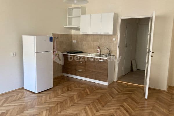 Small studio flat to rent, 28 m², Křižíkova, Praha