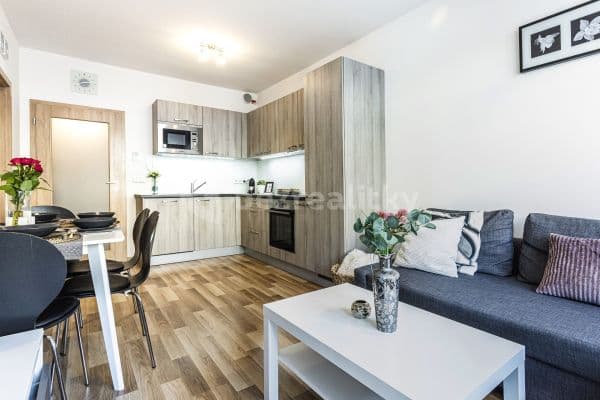 2 bedroom with open-plan kitchen flat to rent, 60 m², Oty Bubeníčka, Hlavní město Praha