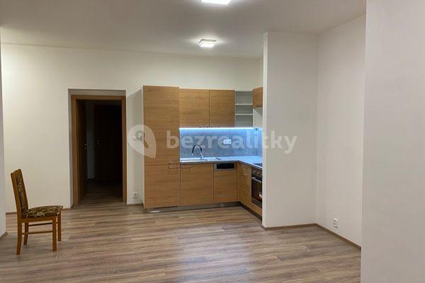 1 bedroom with open-plan kitchen flat to rent, 59 m², Alešova, Brno