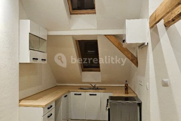 1 bedroom with open-plan kitchen flat to rent, 62 m², Pionýrů, Ústí nad Labem