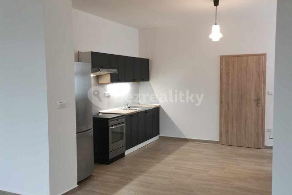 1 bedroom with open-plan kitchen flat to rent, 55 m², Stolany