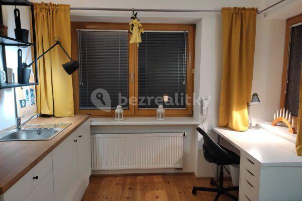 4 bedroom with open-plan kitchen flat to rent, 12 m², Nad kašnou, Brno
