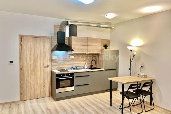 Studio flat to rent, 32 m², Střední, Brno, Jihomoravský Region