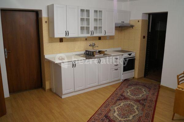 1 bedroom with open-plan kitchen flat to rent, 50 m², Ke Stromečkům, Hostivice