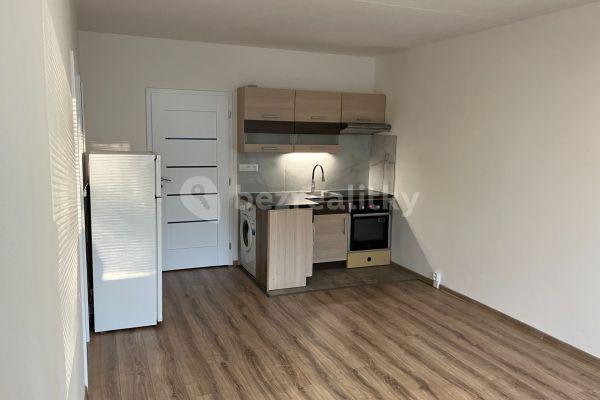 1 bedroom with open-plan kitchen flat to rent, 41 m², Pod Lysinami, Hlavní město Praha