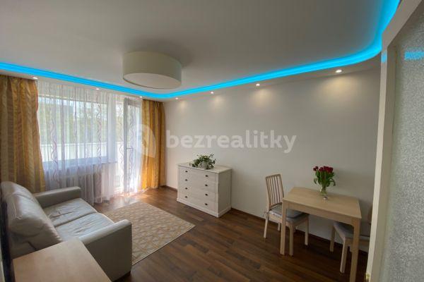 1 bedroom with open-plan kitchen flat to rent, 48 m², Jablonecká, Prague, Prague