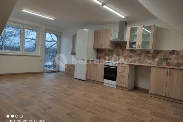 1 bedroom with open-plan kitchen flat to rent, 50 m², Radiměř