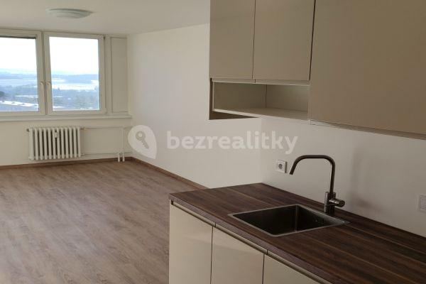 1 bedroom with open-plan kitchen flat to rent, 44 m², Lessnerova, Praha