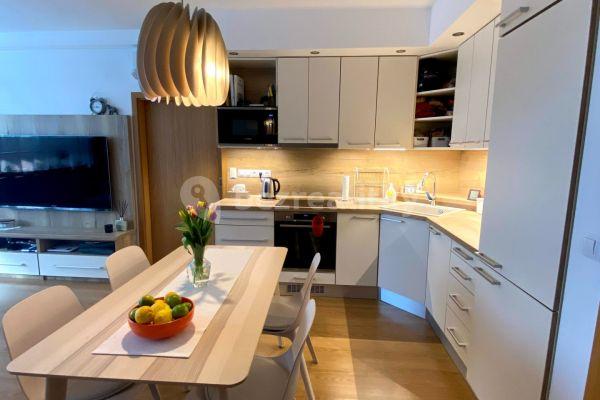 1 bedroom with open-plan kitchen flat to rent, 63 m², Generála Šišky, Praha