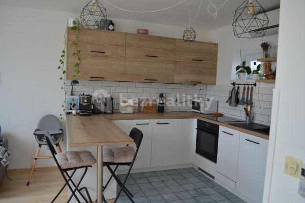 1 bedroom with open-plan kitchen flat for sale, 43 m², Cejl, Brno