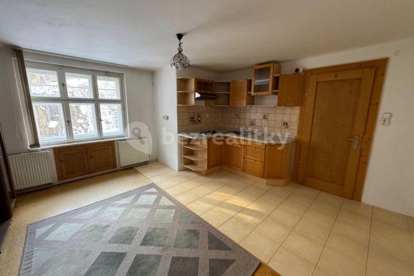 1 bedroom with open-plan kitchen flat to rent, 45 m², Mlýnská, Liberec