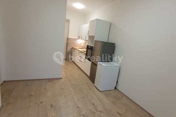 1 bedroom with open-plan kitchen flat to rent, 38 m², Dobrovského, Praha