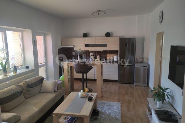 1 bedroom with open-plan kitchen flat to rent, 60 m², Palackého, Ostrava
