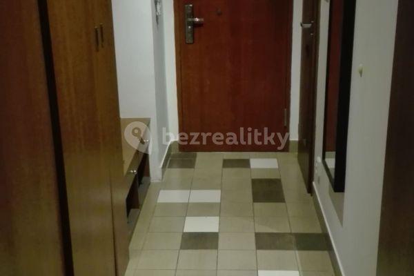 1 bedroom with open-plan kitchen flat to rent, 53 m², Dalimilova, Brno