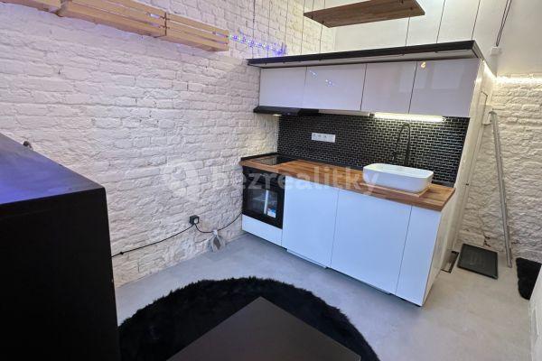 Small studio flat to rent, 18 m², Na Míčánkách, Praha