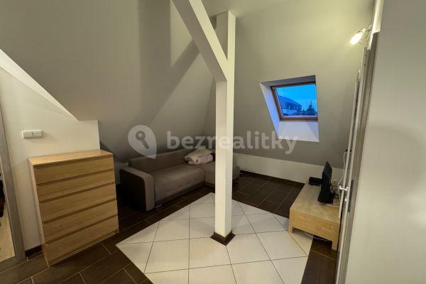 1 bedroom with open-plan kitchen flat to rent, 50 m², Okrouhlo