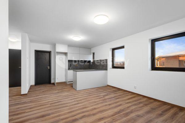 2 bedroom with open-plan kitchen flat for sale, 56 m², V pěšinkách, 