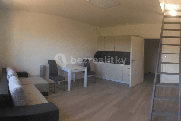 1 bedroom with open-plan kitchen flat to rent, 50 m², Hlavní, Brno