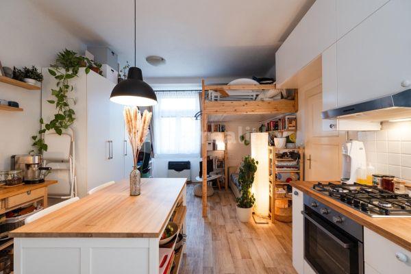 1 bedroom with open-plan kitchen flat to rent, 39 m², Táborská, Hlavní město Praha