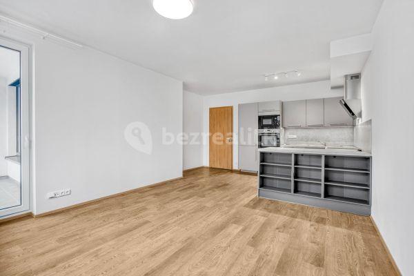 1 bedroom with open-plan kitchen flat to rent, 54 m², Stočesova, Praha