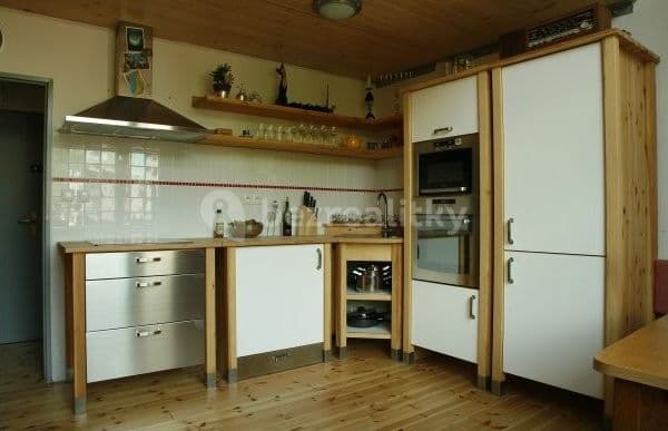 1 bedroom with open-plan kitchen flat to rent, 49 m², Novákových, Praha