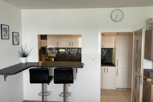 1 bedroom with open-plan kitchen flat to rent, 40 m², Štúrova, Prague, Prague 1 bedroom with open-plan kitchen flat to rent, 40 m², Štúrova, Prague, Prague