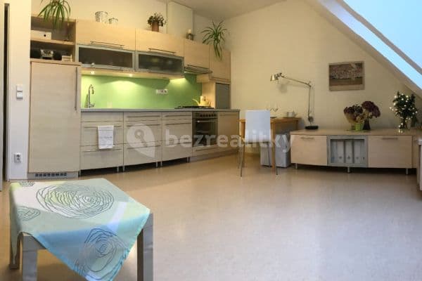 1 bedroom with open-plan kitchen flat to rent, 46 m², Otiskova, Brno 1 bedroom with open-plan kitchen flat to rent, 46 m², Otiskova, Brno