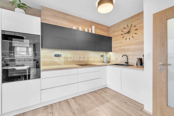 2 bedroom with open-plan kitchen flat for sale, 96 m², U Sportovní školy, 