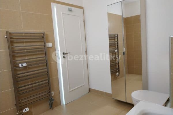 2 bedroom with open-plan kitchen flat to rent, 80 m², Holubice 2 bedroom with open-plan kitchen flat to rent, 80 m², Holubice