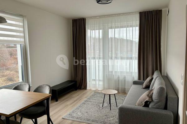 1 bedroom with open-plan kitchen flat to rent, 46 m², Kolbenova, Praha