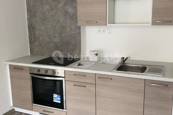 1 bedroom with open-plan kitchen flat to rent, 49 m², Souběžná, Teplice