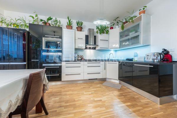 2 bedroom with open-plan kitchen flat for sale, 96 m², Přemyslova, 