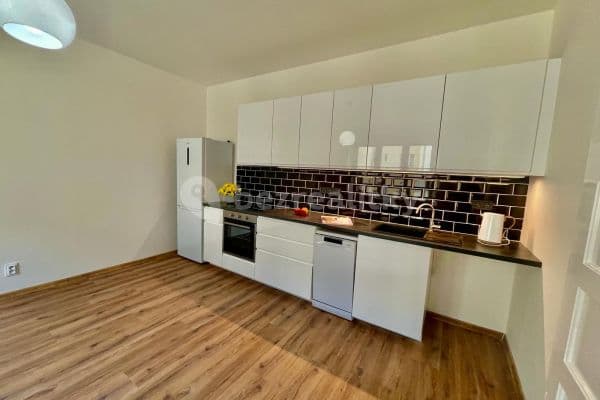 1 bedroom with open-plan kitchen flat to rent, 43 m², Osadní, Praha
