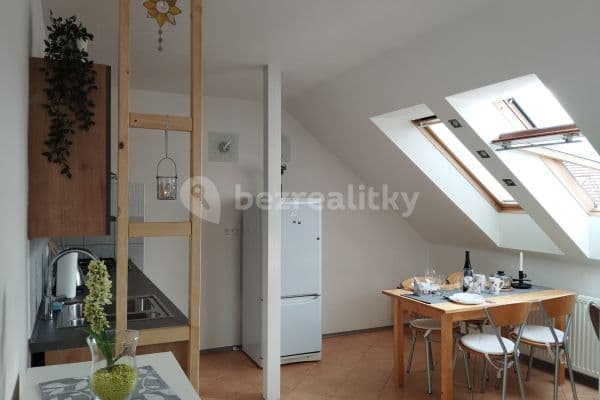1 bedroom with open-plan kitchen flat to rent, 45 m², Veleckého, Brno