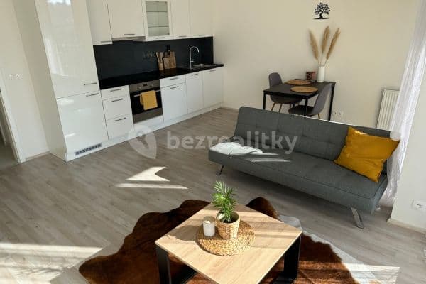 1 bedroom with open-plan kitchen flat to rent, 53 m², Šífařská, Praha