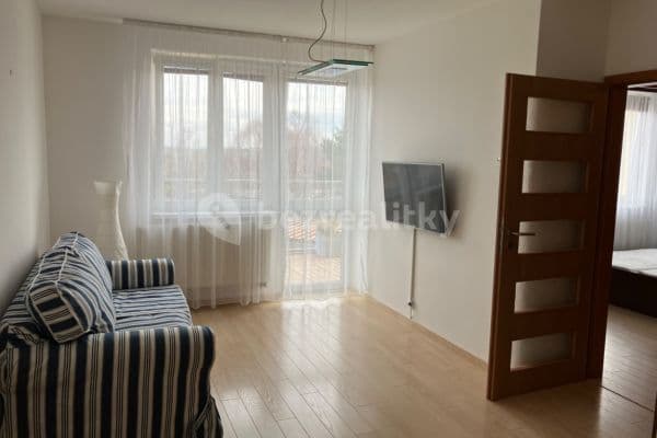 1 bedroom with open-plan kitchen flat to rent, 50 m², V Honech, Klecany