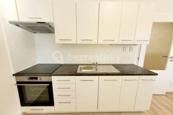 1 bedroom with open-plan kitchen flat to rent, 36 m², Klimšova, 