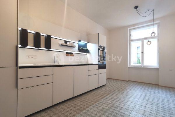 1 bedroom with open-plan kitchen flat to rent, 40 m², Mařákova, Praha
