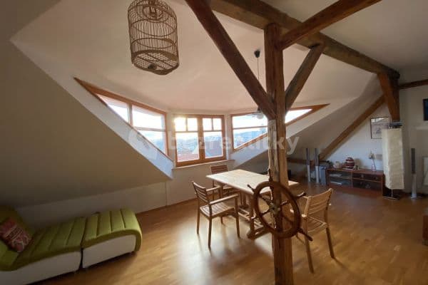 1 bedroom with open-plan kitchen flat to rent, 82 m², Viniční, Brno