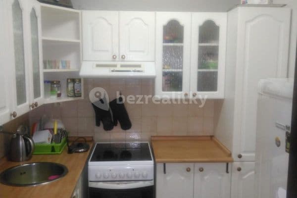 1 bedroom with open-plan kitchen flat to rent, 43 m², V Malém háji, Odolena Voda