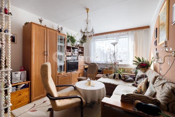 1 bedroom with open-plan kitchen flat for sale, 43 m², Vnoučkova, 