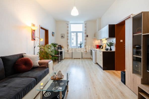 1 bedroom with open-plan kitchen flat for sale, 48 m², V Cihelně, 