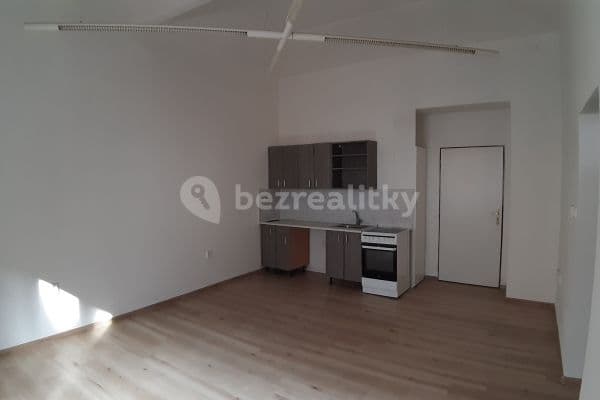 2 bedroom with open-plan kitchen flat to rent, 69 m², Šaldova, Hlavní město Praha