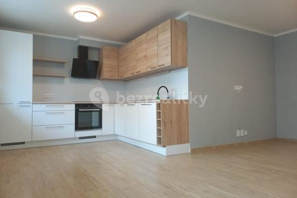 1 bedroom with open-plan kitchen flat to rent, 57 m², Tádžická, Praha