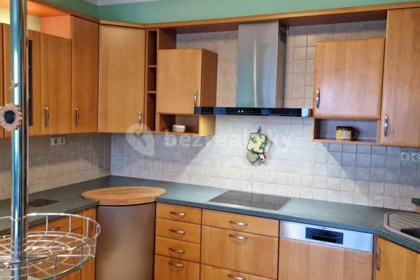 1 bedroom with open-plan kitchen flat for sale, 47 m², Oblá, Brno