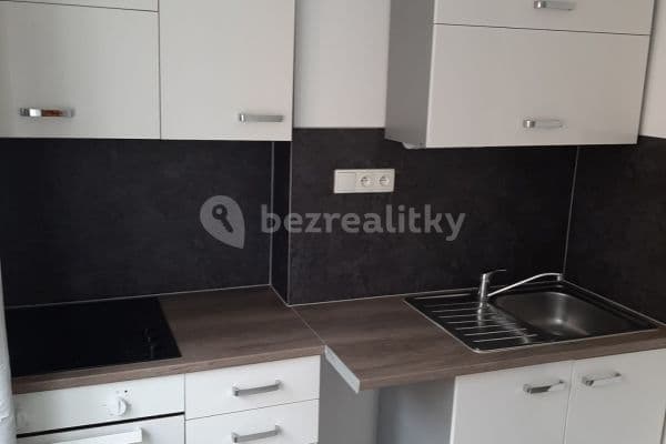 1 bedroom with open-plan kitchen flat to rent, 46 m², Spojovací, Milovice