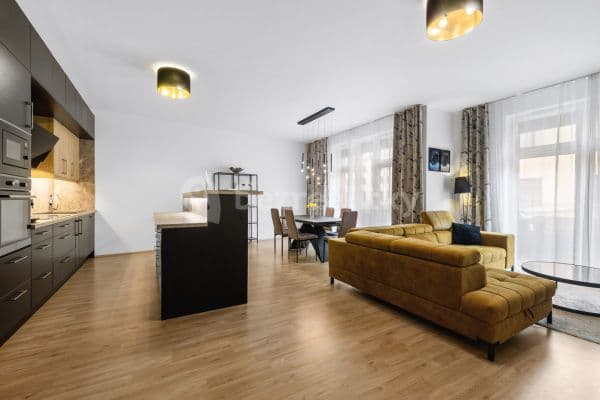 2 bedroom with open-plan kitchen flat for sale, 120 m², Třebízského, 
