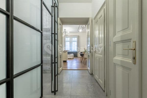 1 bedroom with open-plan kitchen flat to rent, 55 m², Na Výšinách, Praha