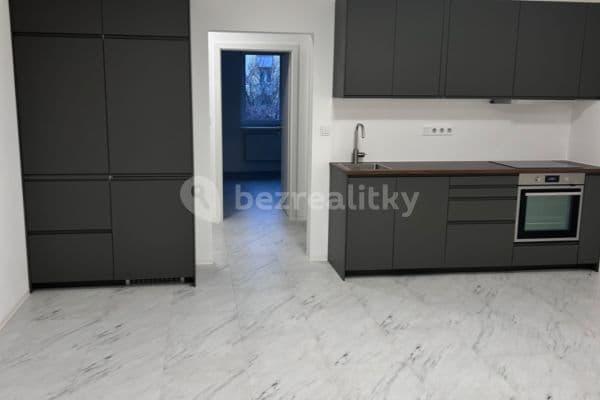 1 bedroom with open-plan kitchen flat to rent, 60 m², Sídlištní, Praha