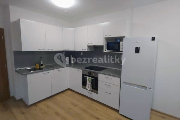 1 bedroom with open-plan kitchen flat to rent, 62 m², Lederova, Roztoky